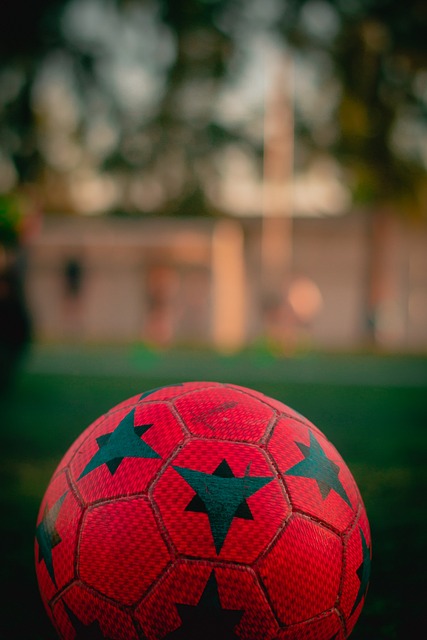 国际商业领 国际商业领