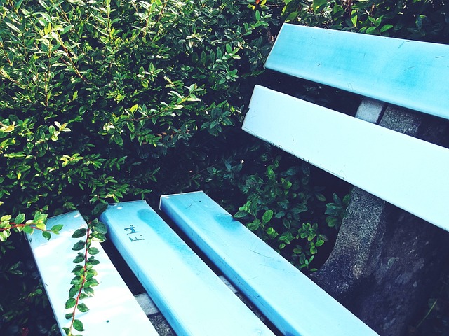 不仅反映了 不仅反映了