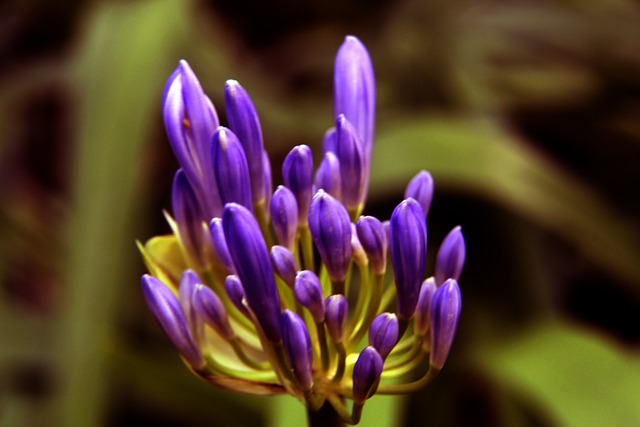 取得了重要 取得了重要