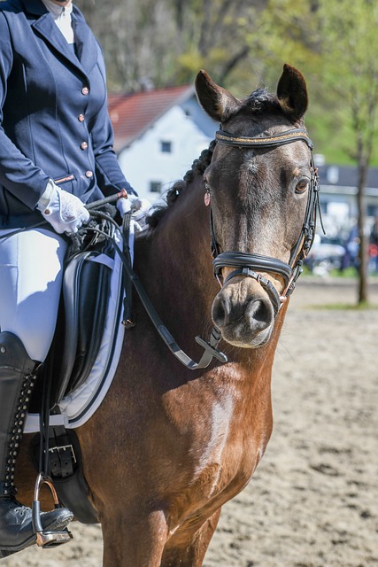 伴随着新星 伴随着新星