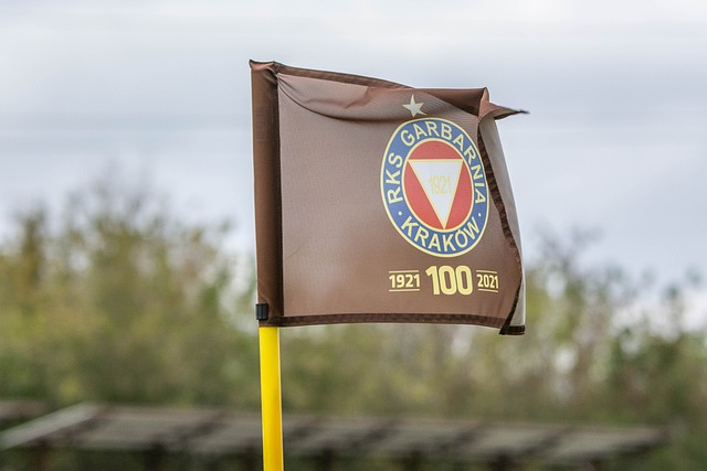 加统一的胜 加统一的胜