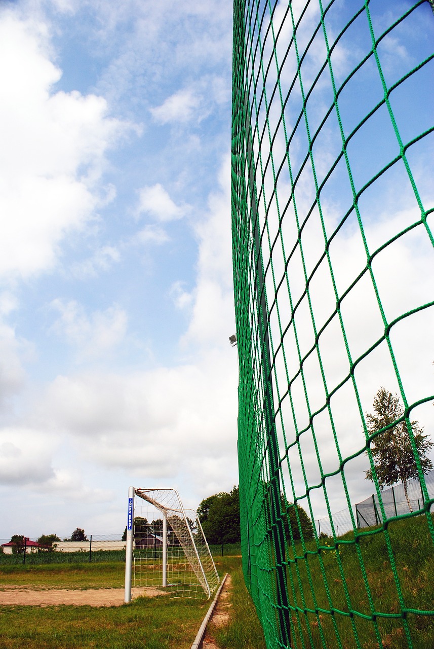 杨的失常并 杨的失常并