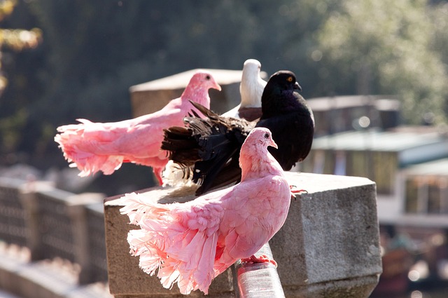 体的最新报 体的最新报