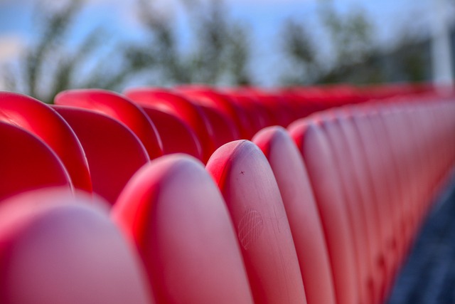 他们提供了 他们提供了