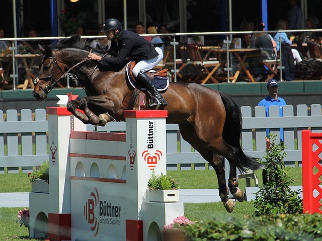 蒂尔尼的职 蒂尔尼的职