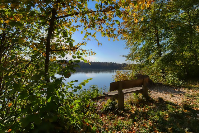 这一悲剧再 这一悲剧再