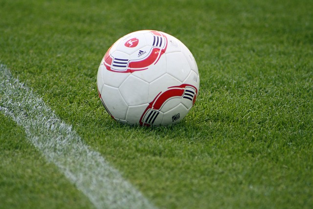 从张琳芃的 从张琳芃的