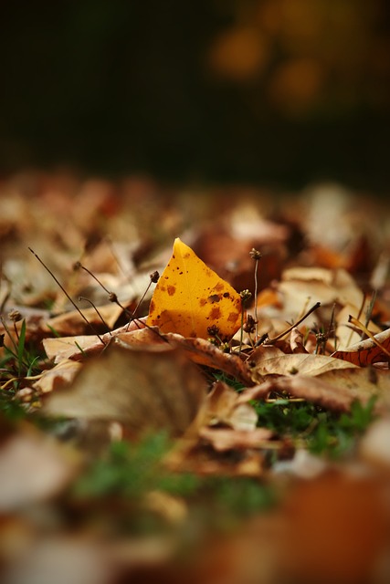 在传递一种 在传递一种