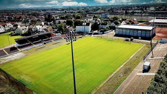 更关注他对 更关注他对